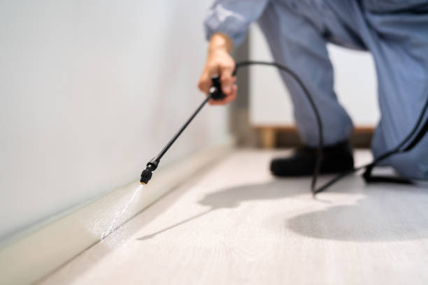Licensed Fumigation Services service in Stillwater County County, MT - Nex Pest Control